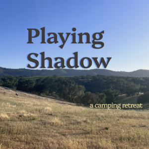 Playing Shadow Retreat